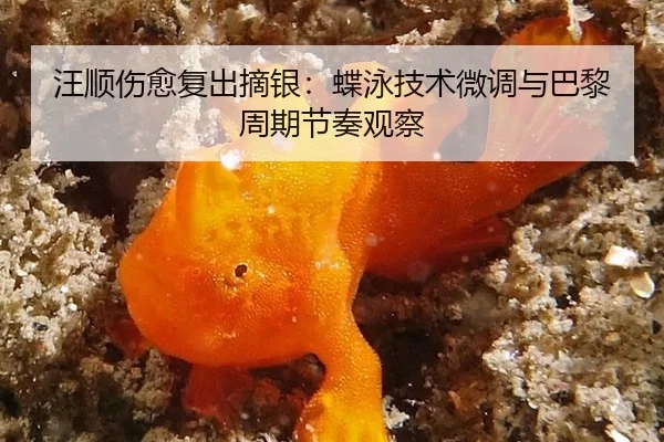 wang-shun-shang-yu-fu-chu-zhai-yin-die-yong-ji-shu-wei-diao-yu-ba-li-zhou-qi-jie-zou-guan-cha-3-528.jpg